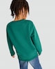 image 3 of F&F Boys Cotton Rich Christmas Crew Sweatshirt in Green