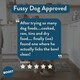 image 5 of Boost Pet Chicken with Superfoods Meal for Dogs 400g