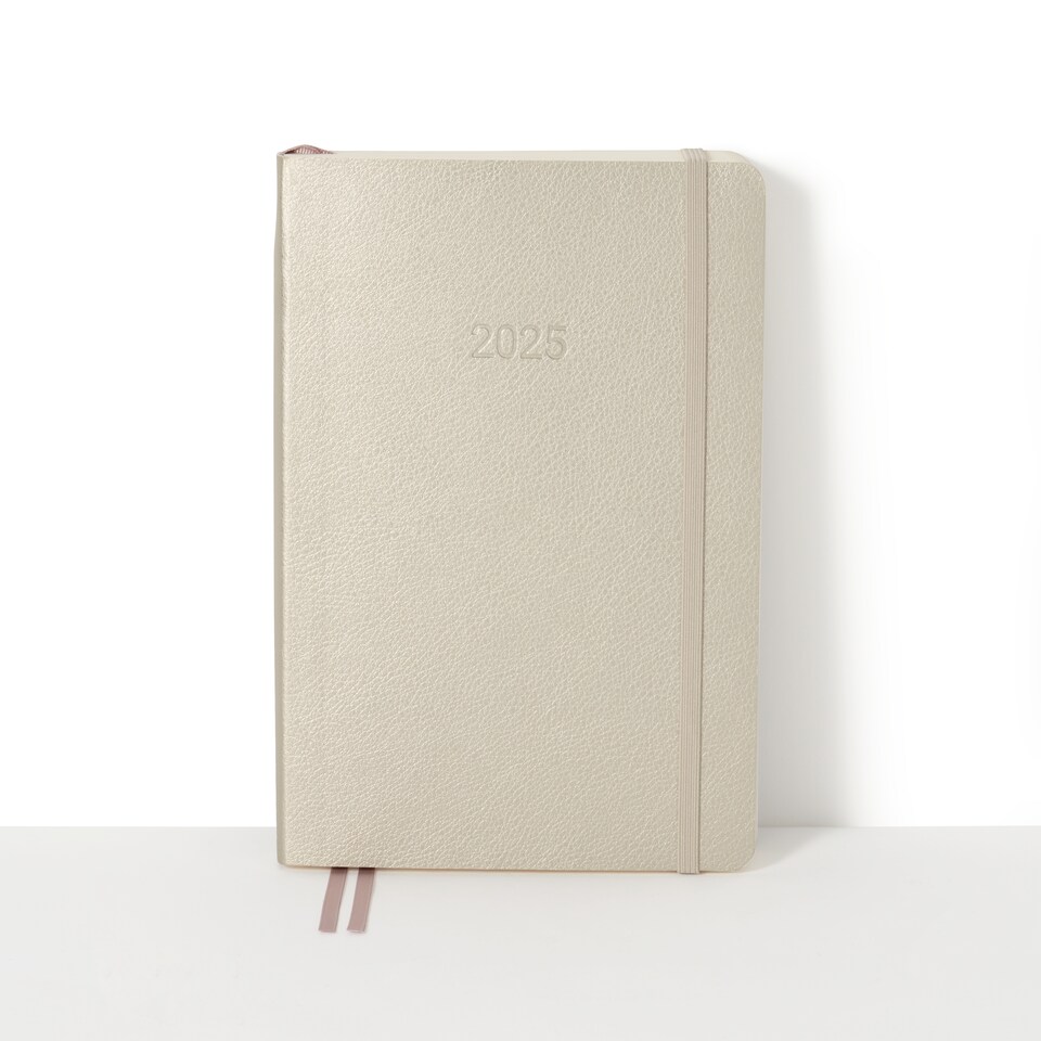 image 1 of Agenzio Soft Touch Medium 2025 Diary Champagne Gold