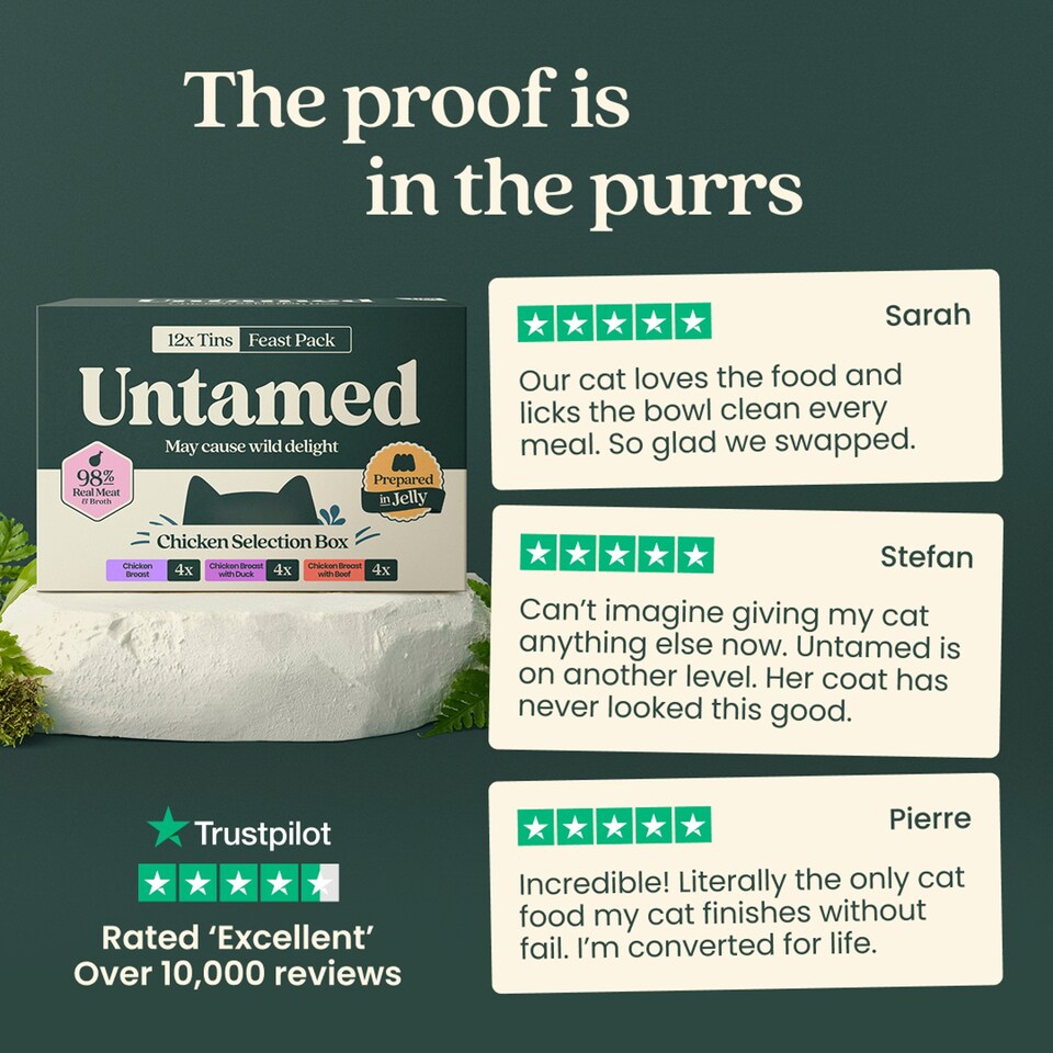 image 1 of Untamed Chicken Selection Box in Jelly Cat Food 12 x 75G