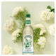 image 2 of Robinsons Fruit Cordials - Elderflower 500ml