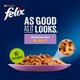 image 3 of Felix As Good As It Looks Cat Food Mixed Selection 40X100g