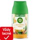 obrázok 1 z Air Wick Freshmatic Náplň do osviežovača vzduchu santalové drevo a vanilka 250 ml