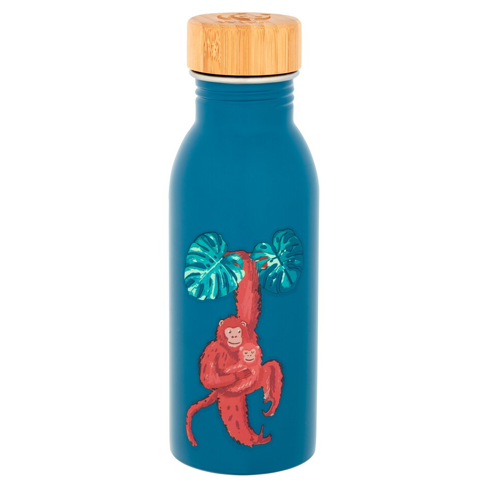 Tesco Wwf Stainless Steel Bottle 500Ml