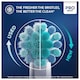 image 4 of Oral-B Pro Kids Toothbrush Heads