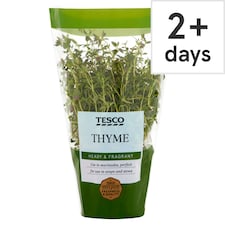 Tesco Growing Herb Thyme