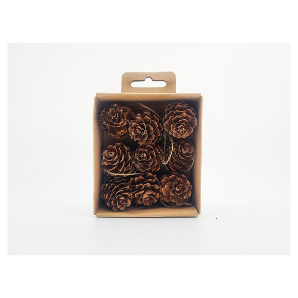 Tesco Pinecones Present Toppers 9Pk