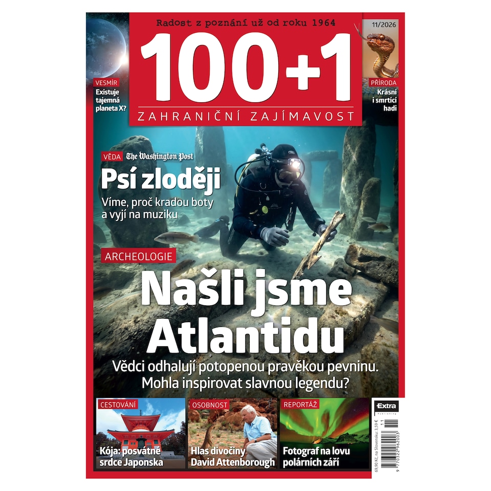 100+1
