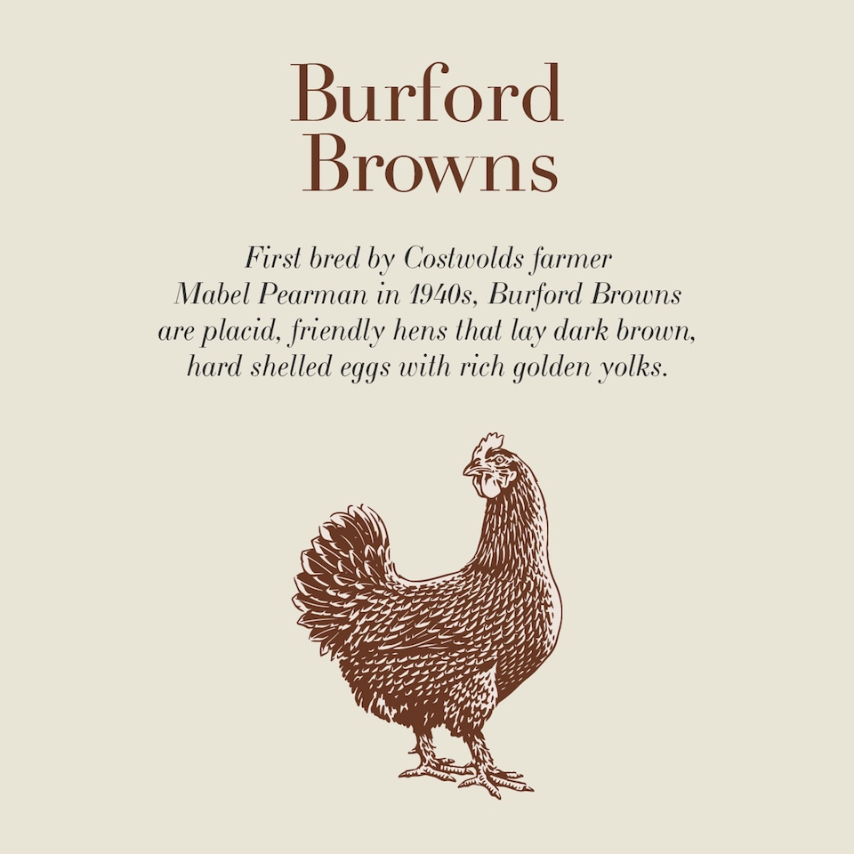 image 1 of Clarence Court Brown Medium Free Range Eggs 6 Pack