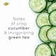image 4 of Dove Advanced Care Go Fresh Cucumber 72h Roll-On Antiperspirant Deodorant 50ml