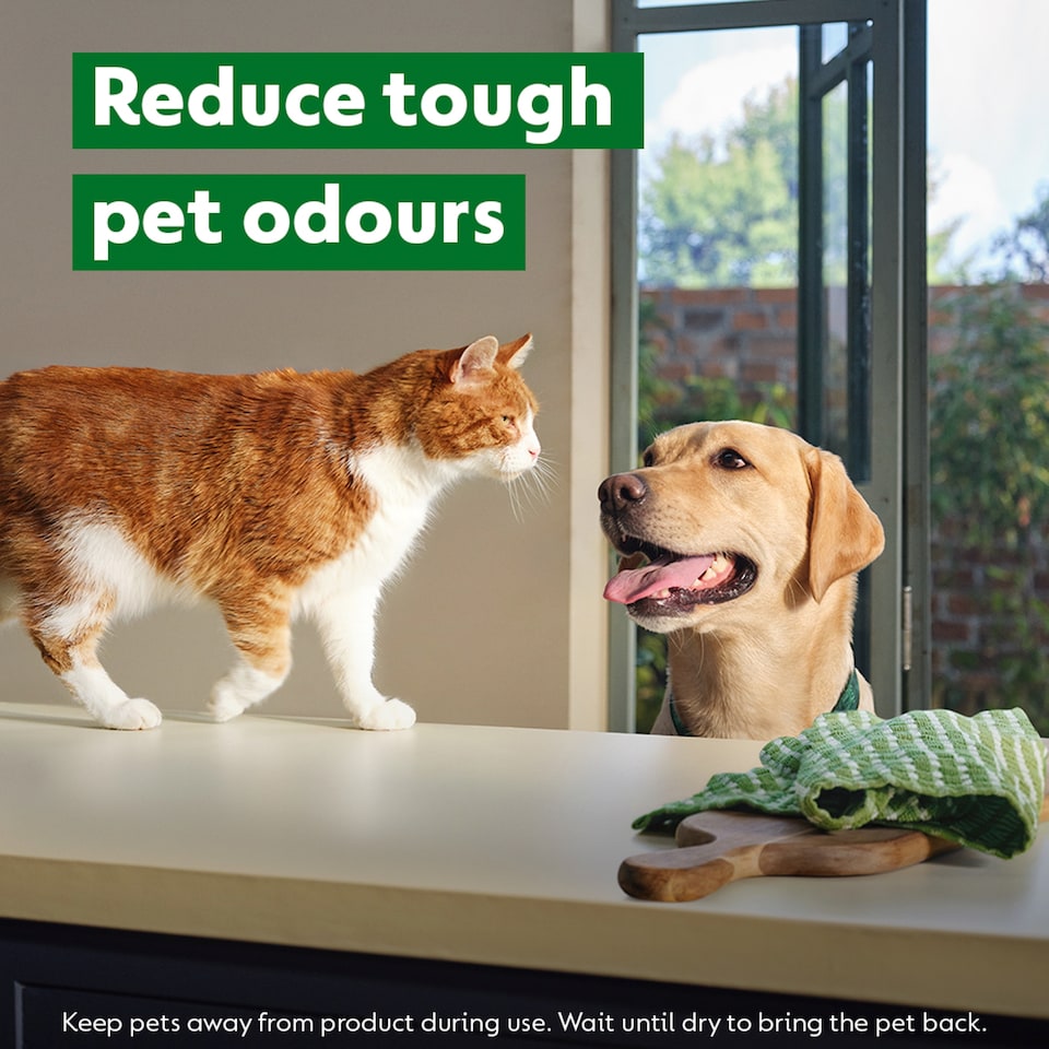 image 1 of Dettol Homes with Pets Disinfectant Spray Fresh Breeze 300ml