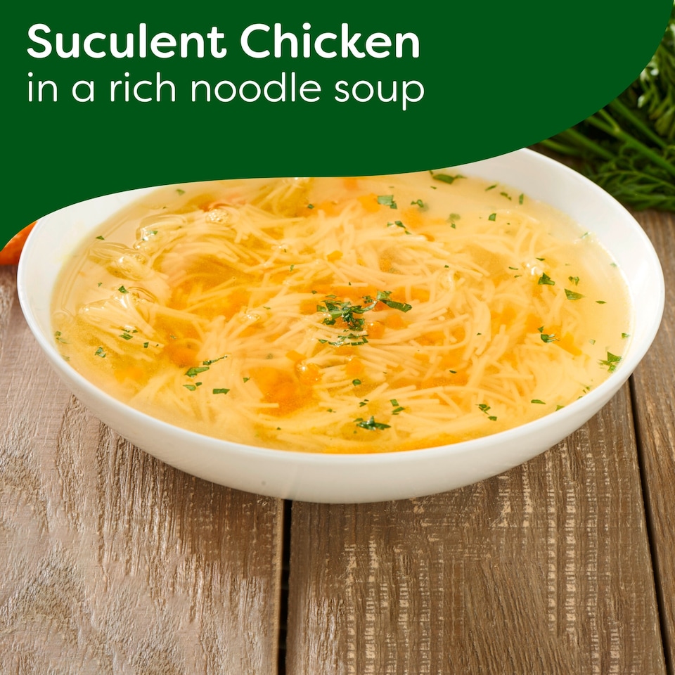image 1 of Knorr Family Soup Chicken Noodle 85G