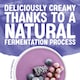image 4 of Alpro Blackberry Raspberry & Cranberry Soya Dairy Free Yoghurt Alternative 4x125g