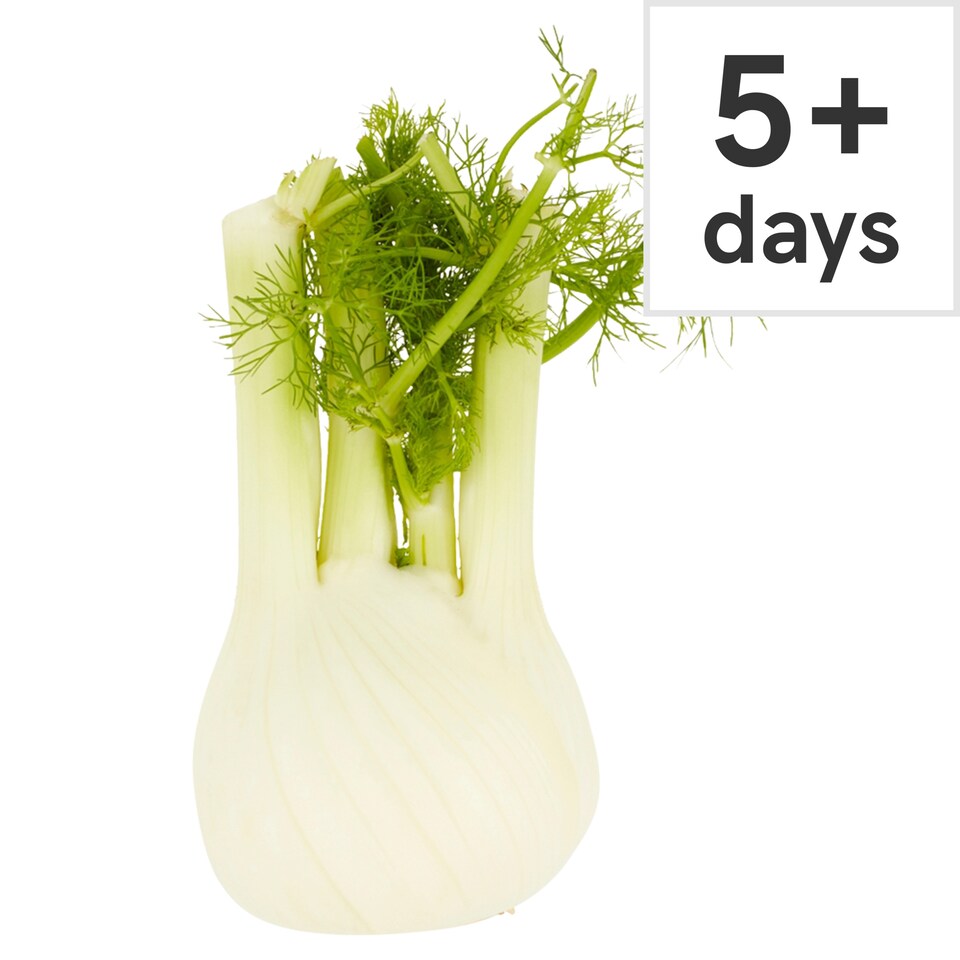 Tesco Fennel Each
