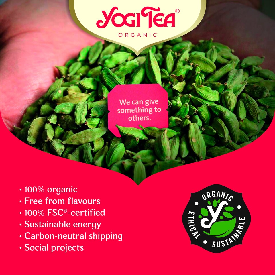 image 1 of Yogi Tea® Classic Organic 17 Bags 37.4g