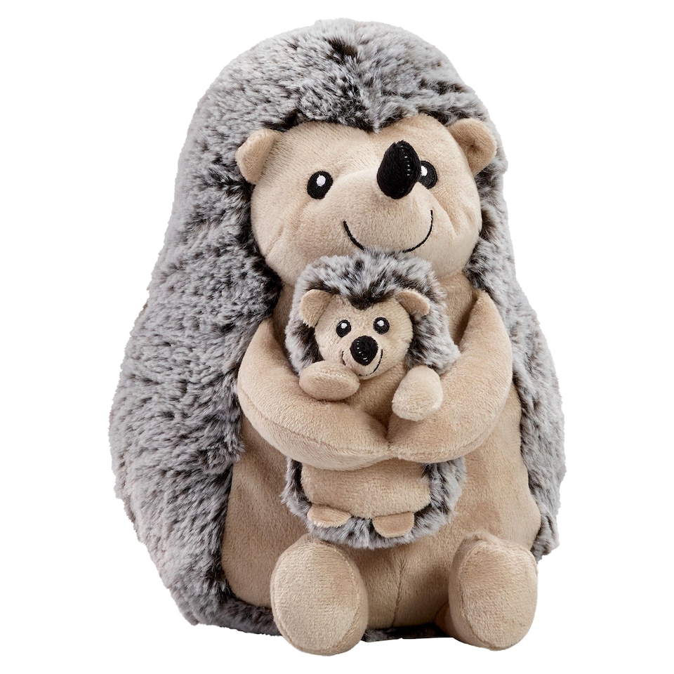 Mummy and Baby Hedgehog