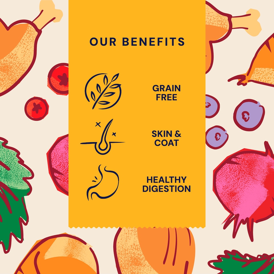 image 1 of Pooch & Mutt Adult Chicken & Superfoods Complete Dry Dog Food 1.5Kg.