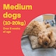 image 3 of Bob Martin Clear Plus Medium Dog 1 Tube