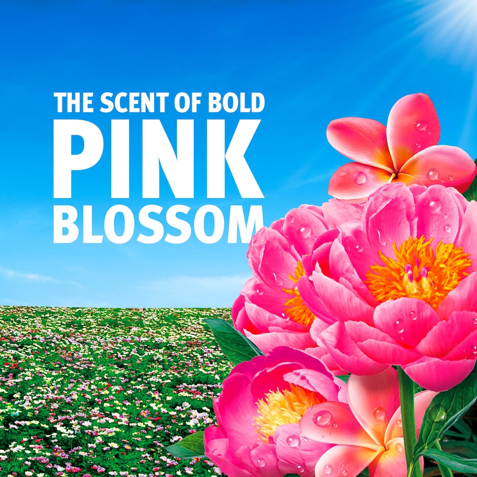 image 1 of Bold Pink Blossom Gel Laundry Detergent 40 Washes 1.32L
