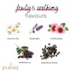 image 2 of Pukka Organic Night Time Berry Herbal Tea 20 Pack 36g