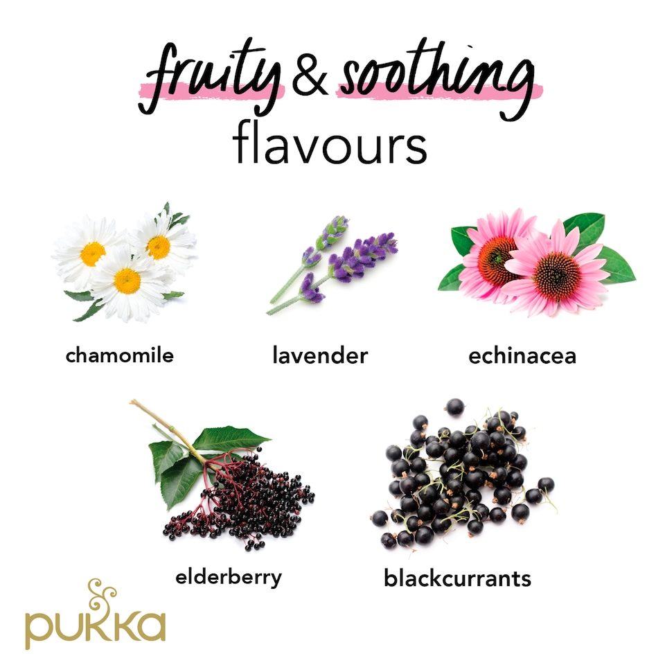 image 1 of Pukka Organic Night Time Berry Herbal Tea 20 Pack 36g