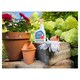 image 2 of Roseclear 3 In 1 Action 800Ml