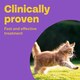 image 2 of Bob Martin Spot On Cat Dewormer 2 Tubes