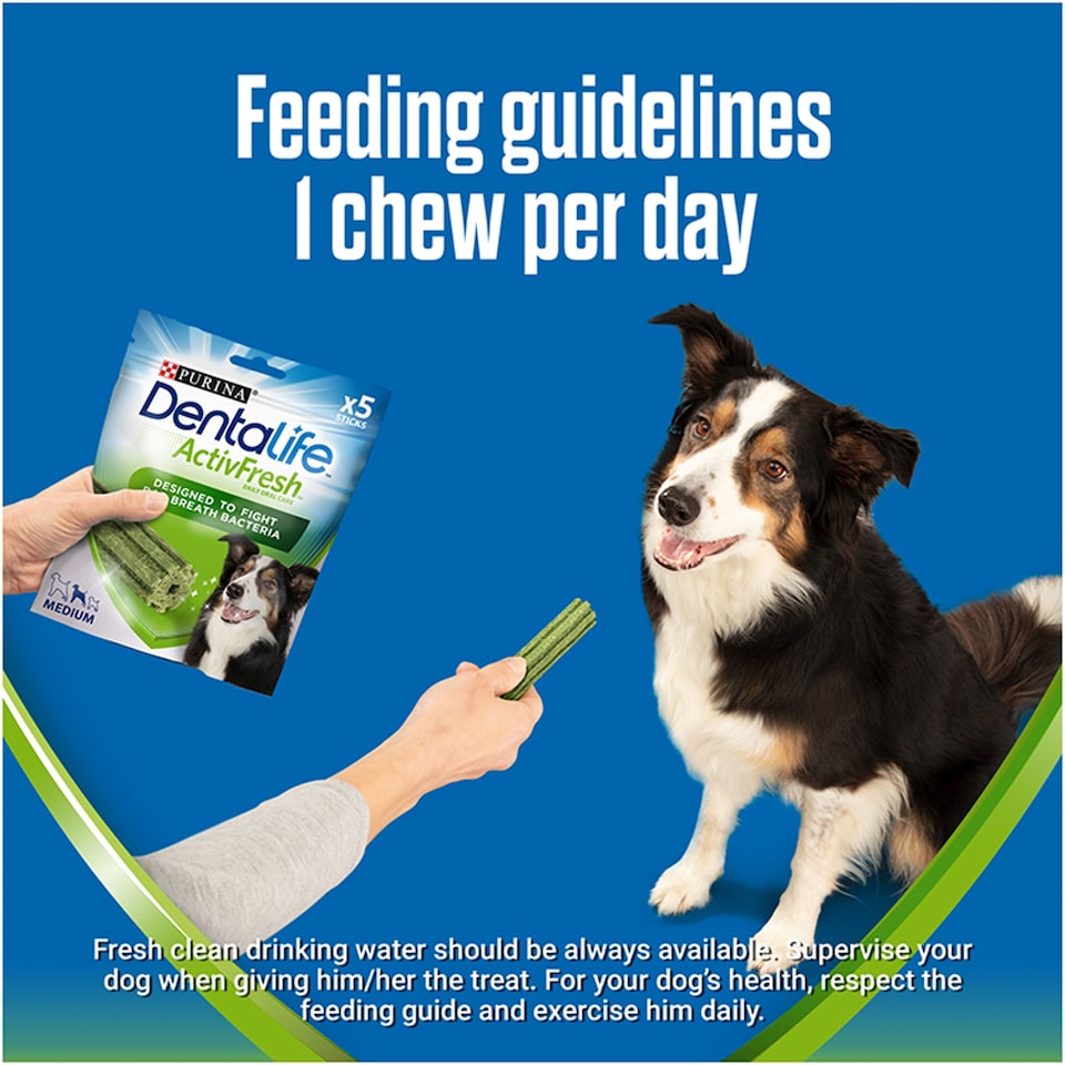 image 1 of Dentalife Activfresh 5 Medium Dog Sticks 115G