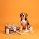 image 4 of Yakers The Original 100% Natural Dog Chew & Occupier Medium
