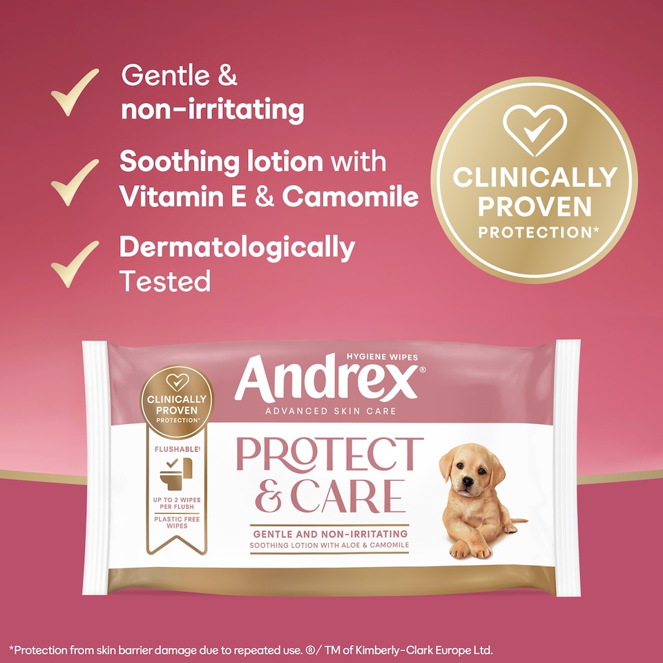 image 1 of Andrex Hygiene Wipes - Protect & Care 36 wipes
