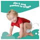 image 4 of Fred & Flo 36 Ultra Dry Nappies 5+