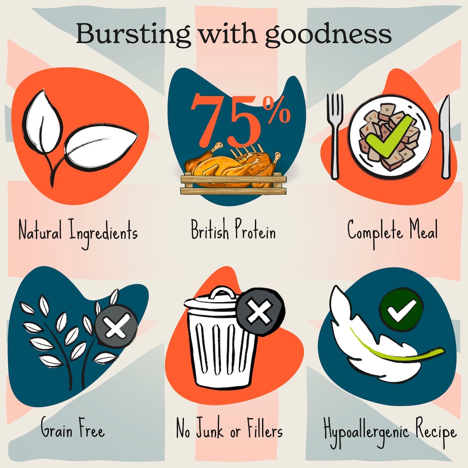 image 1 of Forthglade Grain Free British Classics Lamb Shepherds Pie Adult Dog Food 395g