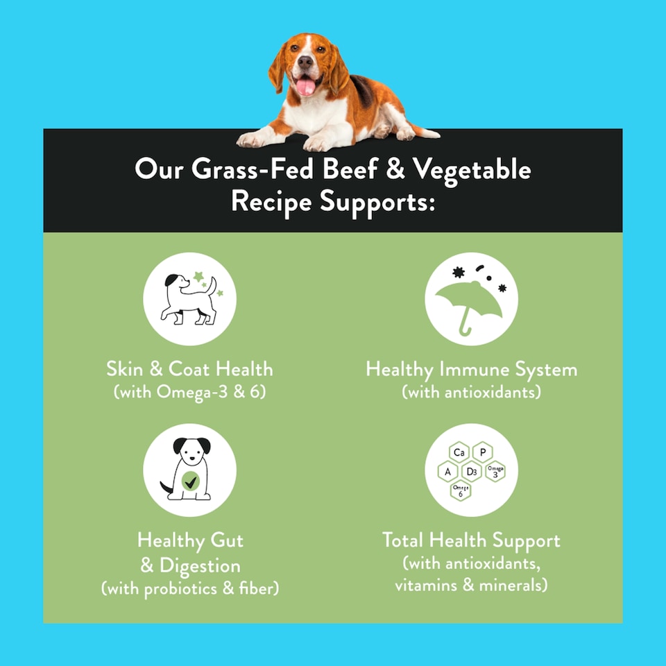 image 1 of Nood Dog Food Beef Recipe 1.42Kg