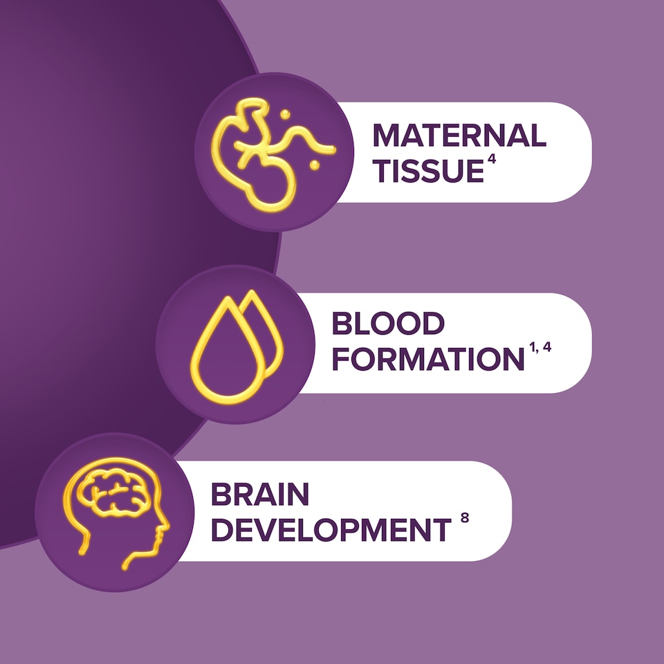 image 1 of Seven Seas Pregnancy & Breast Feeding Vitamins 56 Pack