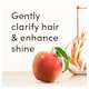 image 4 of Aveeno Clarify & Shine Shampoo - Apple Cider Vinegar Blend 300ml