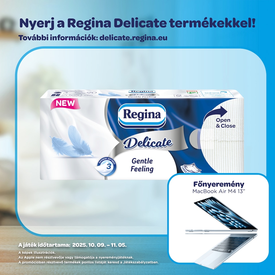 Regina Delicate Gentle Feeling Handkerchiefs 3 Ply 90 pcs