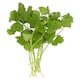 image 2 of Tesco Fresh Cut Coriander 30G