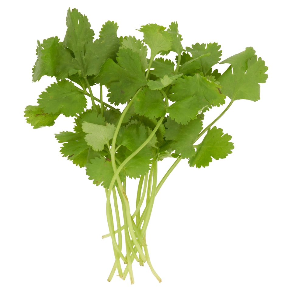 image 1 of Tesco Fresh Cut Coriander 30G
