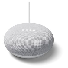 Google Nest Mini Second Genetic Chalk