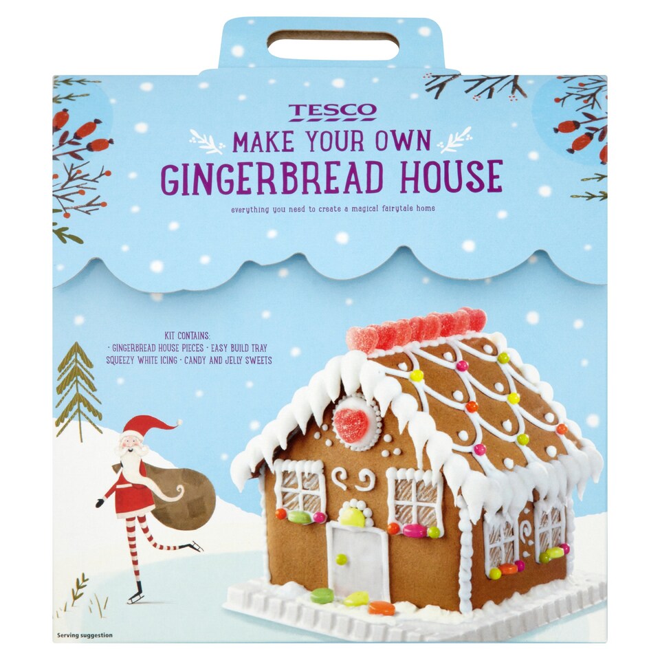 Tesco Make Your Own Gingerbread House 675g