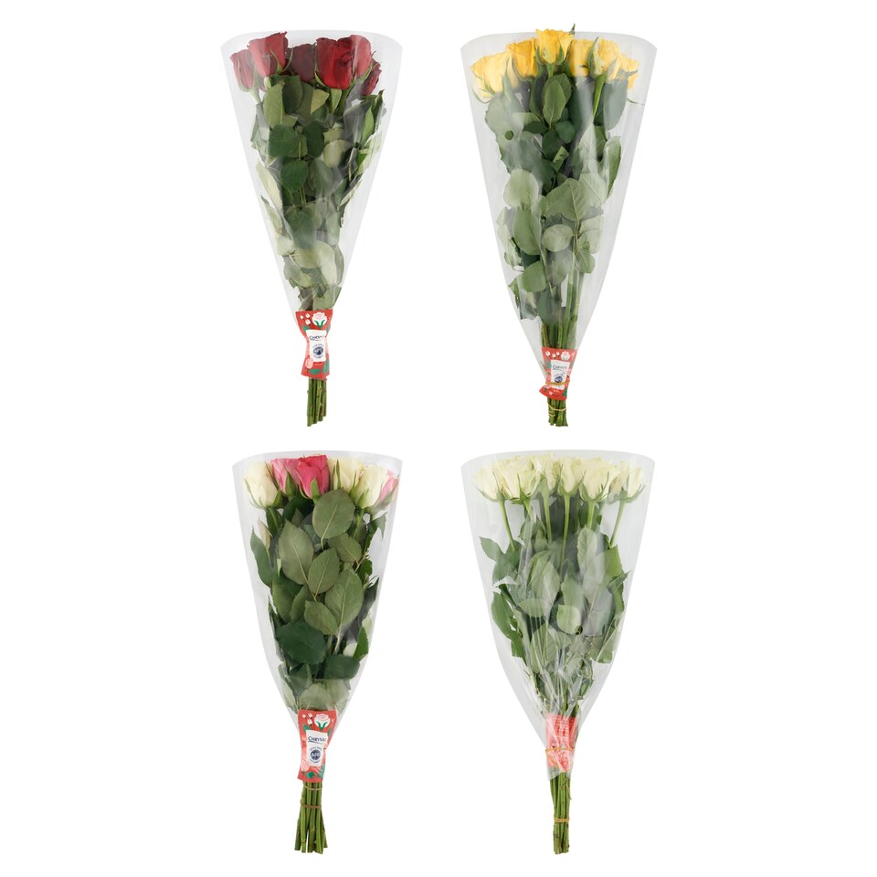image 1 of Large Roses 11 Stems
