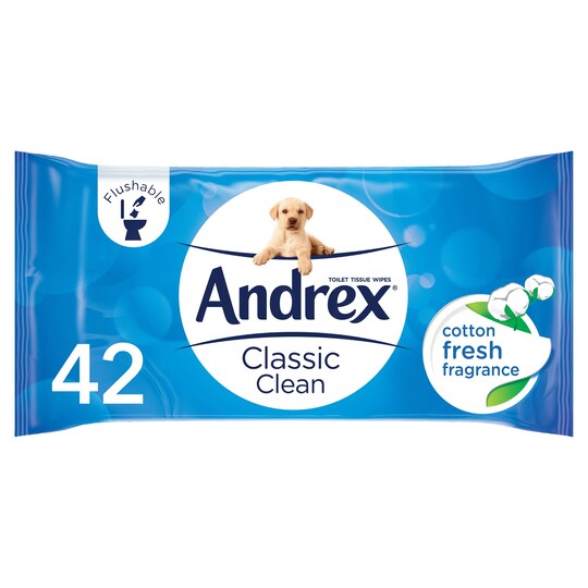 Andrex Washlets Refill Tesco Groceries