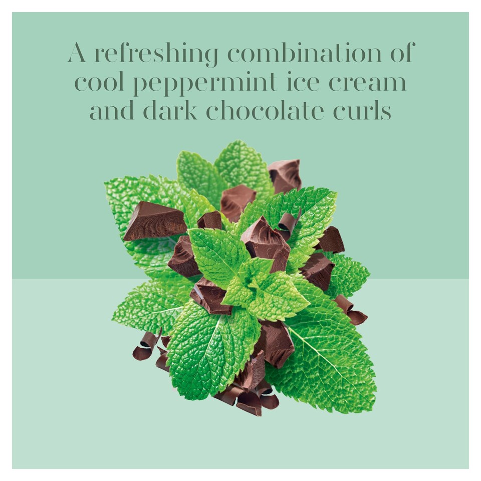 image 1 of Carte D'or Mint Chocolate Chip Ice Cream Tub 900ml