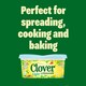 image 3 of Clover Lighter Spread 1Kg