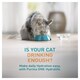 image 4 of Purina ONE HYDRALIFE with Chicken Cat Compliment 6x50g