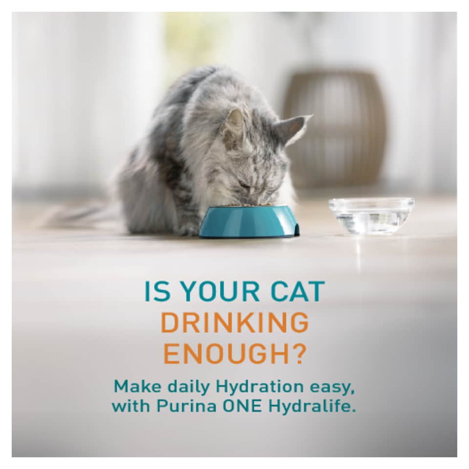 image 1 of Purina ONE HYDRALIFE with Chicken Cat Compliment 6x50g