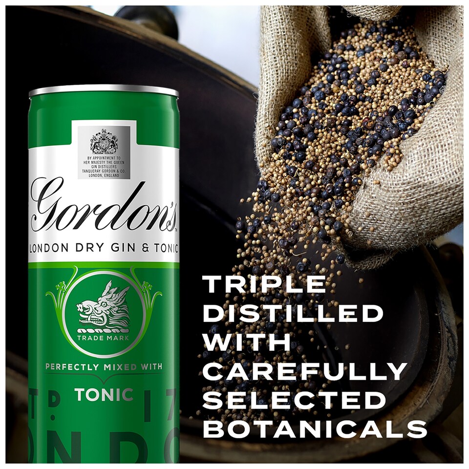 image 1 of Gordon's Gin & Tonic Can 5% Vol 10X250ml