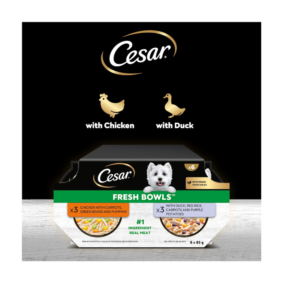 image 1 of CESAR Dog Food Fresh Bowls mixed selection of Poultry and Fresh Vegetables 6 x 85g