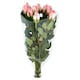 image 1 of Tesco Bouquet Roses 35 cm 9 pcs