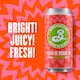 image 2 of Brooklyn Brewery Playa de Brooklyn Lime Lager Beer Can 440ml